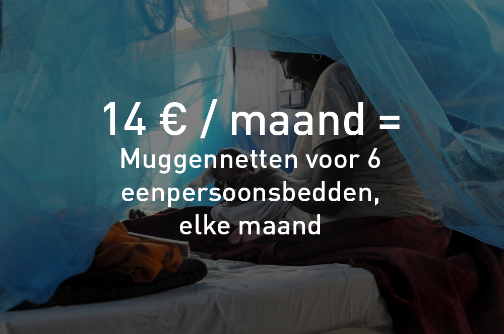 14 € / maand = muggennetten voor 6 eenpersoonsbedden, elke maand