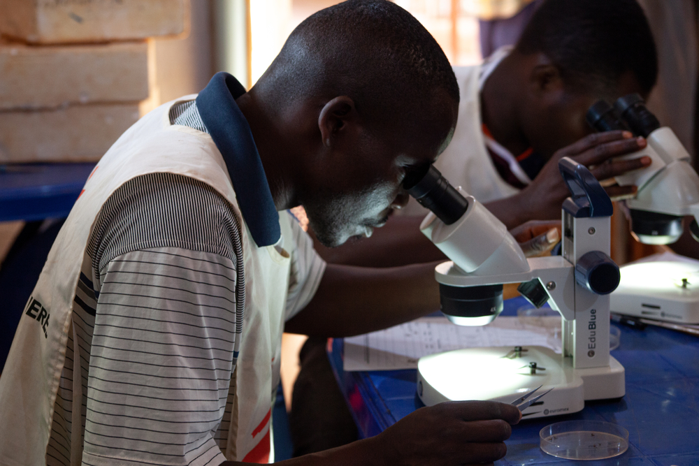Julien Riyazimana en Paul Tuyininahaze onderzoeken of de muggen onder microscoop drager zijn van malaria, in het vluchtelingenkamp van Nduta, Tanzania.