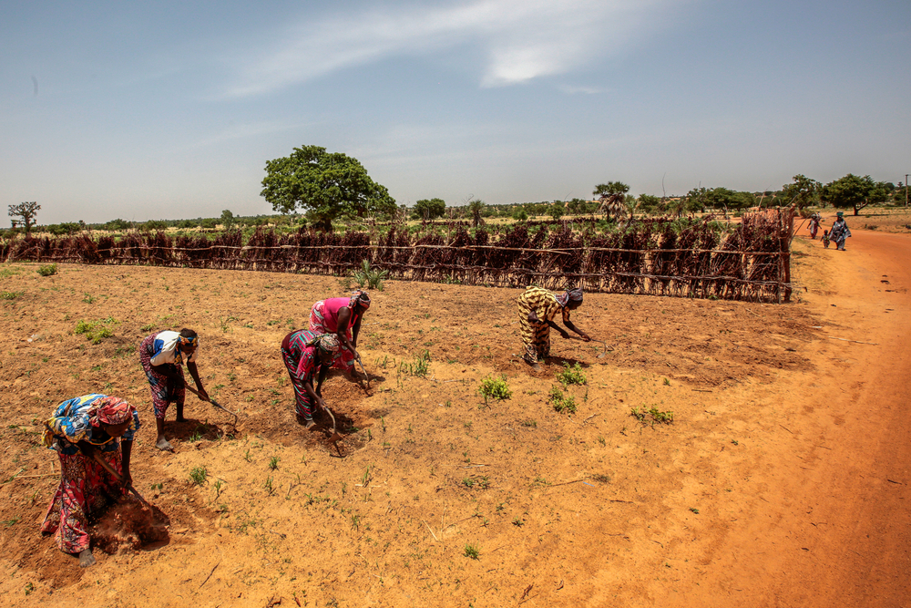Boeren bewerken hun land bij het dorp Riko, Katsina State, Nigeria, juni 2022.