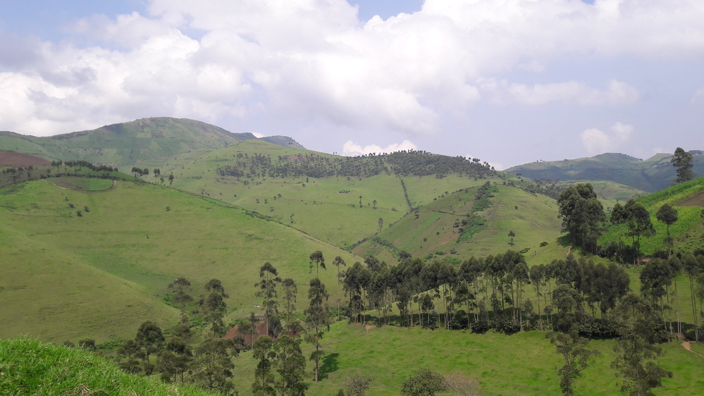 Le Nord Kivu, à la frontière avec le Rwanda et l'Ouganda 