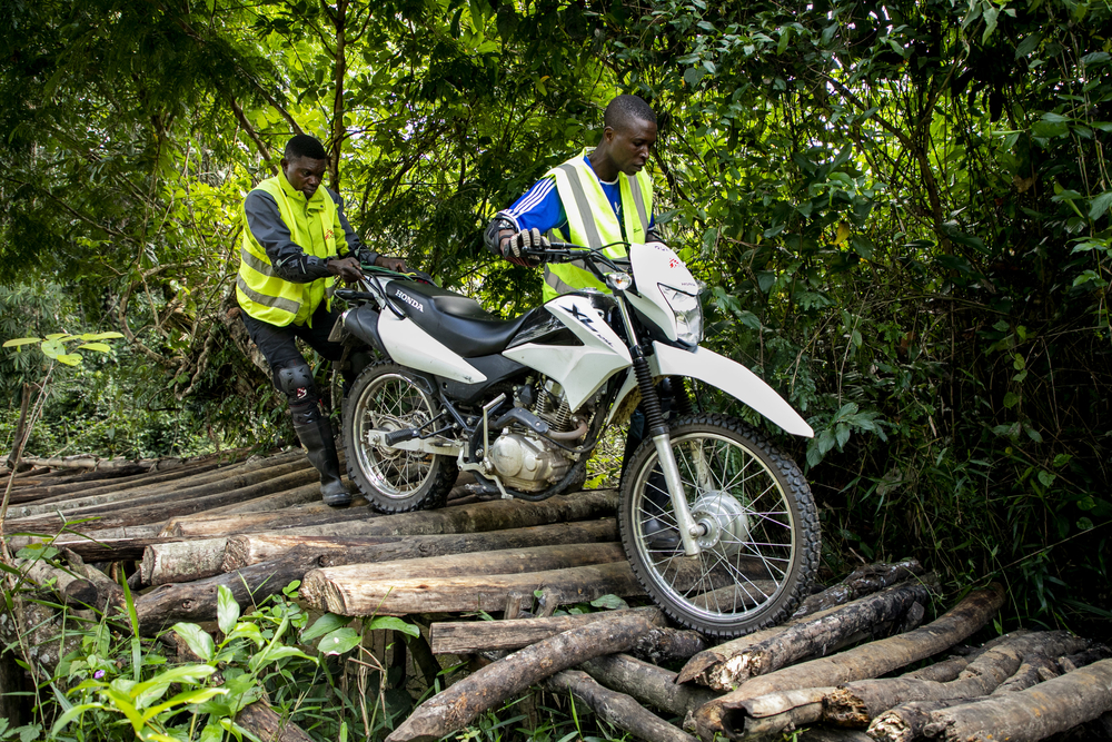 moto sur des troncs d'arbre