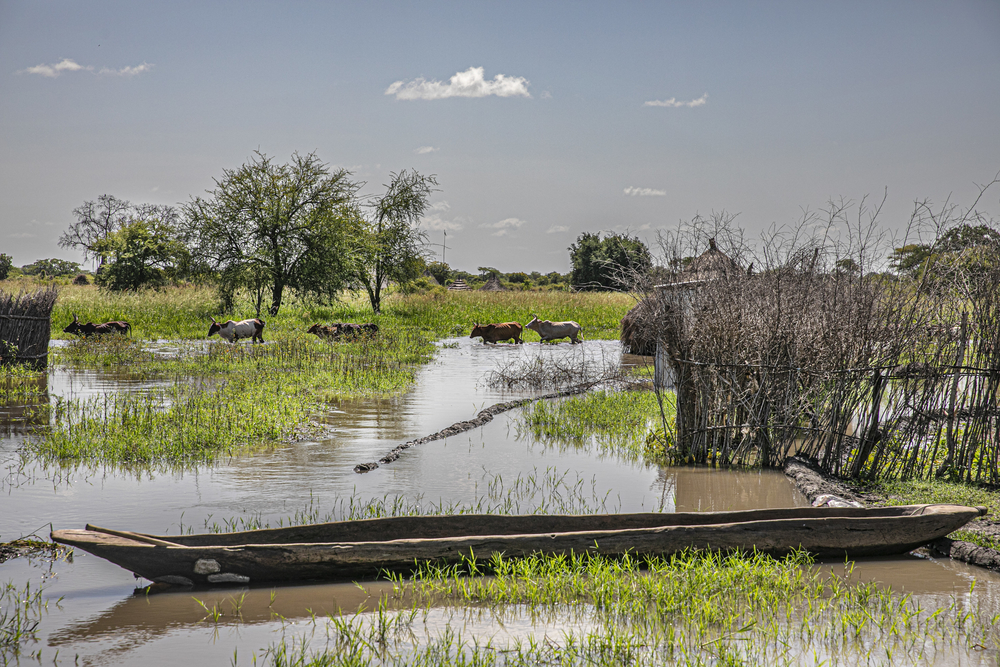 Inondations dans un village