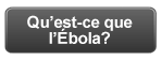 qu'est-ce que l'ebola?
