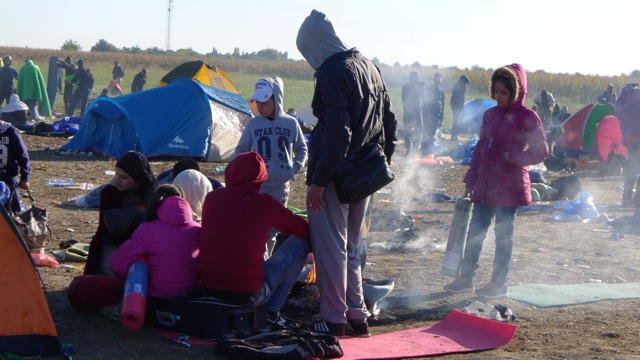 Des milliers de personnes, principalement des Syriens, continuent à arrivent à Roszke à la frontière entre la Serbie et la Hongrie. © Ana Lemos/MSF