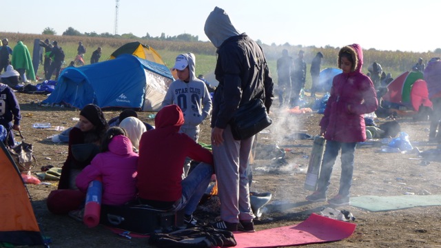 Duizenden vluchtelingen, voornamelijk uit Syrië, komen in Roszke aan, een plaats op de grens tussen Servië en Hongarije. © Ana Lemos/MSF