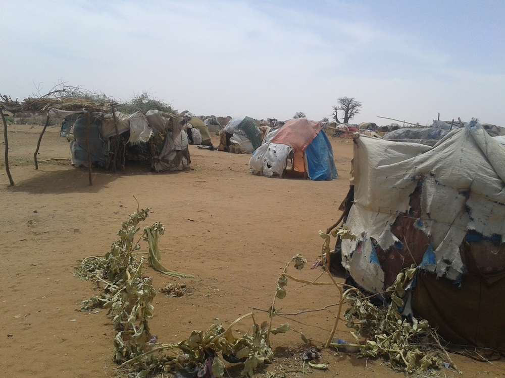 Le camp de déplacés de Sereif au Soudan. 4500 personnes y souffrent d'un manque chronique en eau potable. 