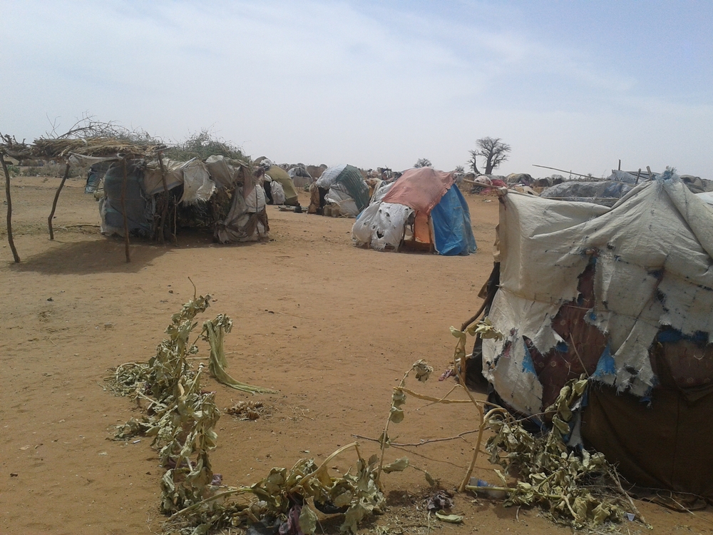 Le camp de déplacés de Sereif au Soudan. 4500 personnes y souffrent d'un manque chronique en eau potable.