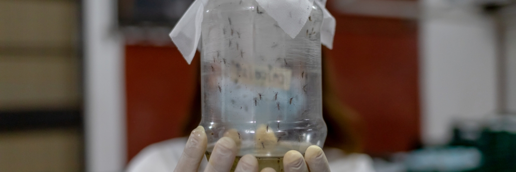 MSF travaille au Honduras avec les communautés locales pour prévenir la propagation de la dengue transmis par les moustiques. 