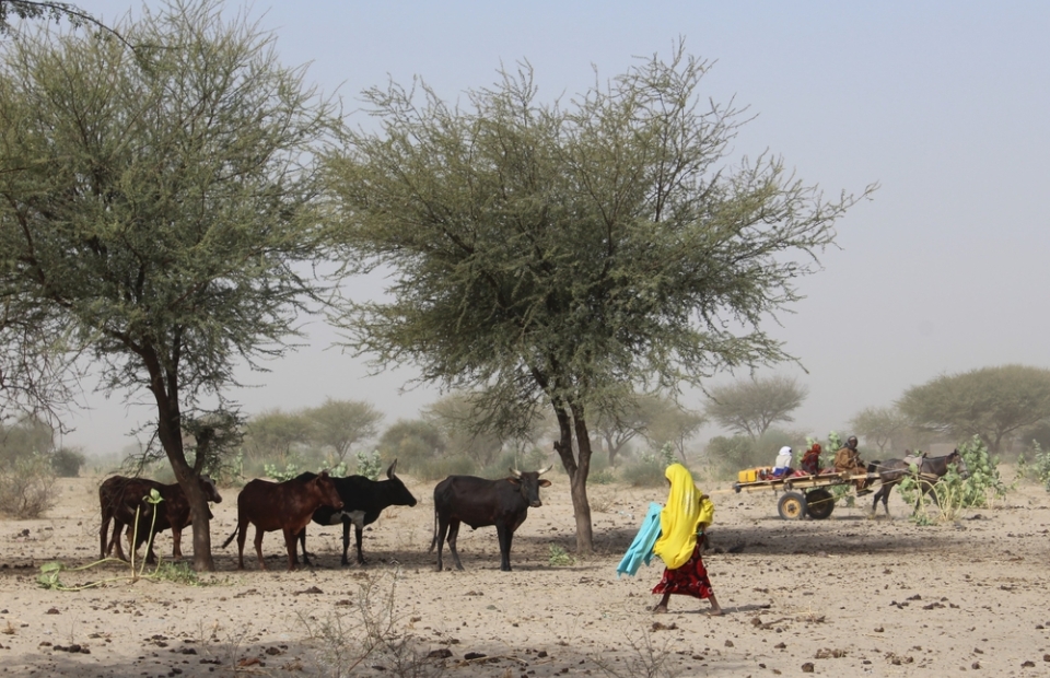 Artsen Zonder Grenzen biedt hulp in Tsjaad aan mensen die getroffen worden door de klimaatcrisis