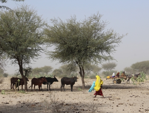 Artsen Zonder Grenzen biedt hulp in Tsjaad aan mensen die getroffen worden door de klimaatcrisis